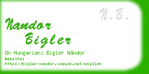 nandor bigler business card